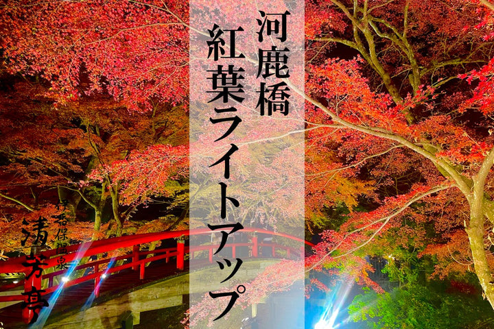 河鹿橋 紅葉ライトアップ